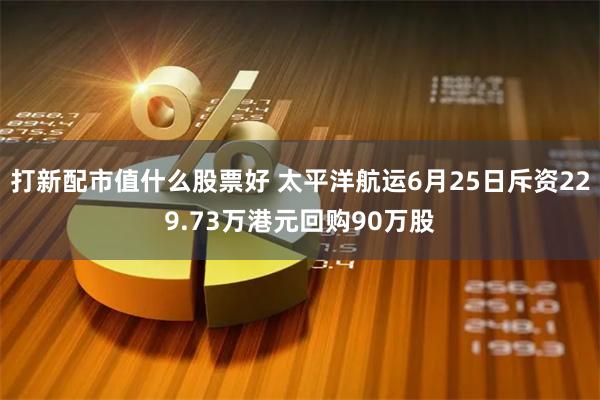 打新配市值什么股票好 太平洋航运6月25日斥资229.73万港元回购90万股