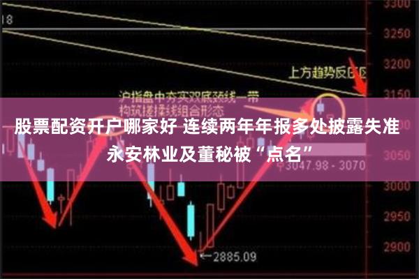 股票配资开户哪家好 连续两年年报多处披露失准 永安林业及董秘被“点名”