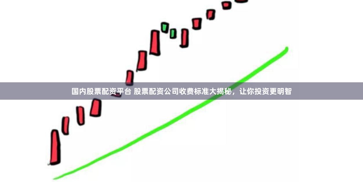 国内股票配资平台 股票配资公司收费标准大揭秘，让你投资更明智
